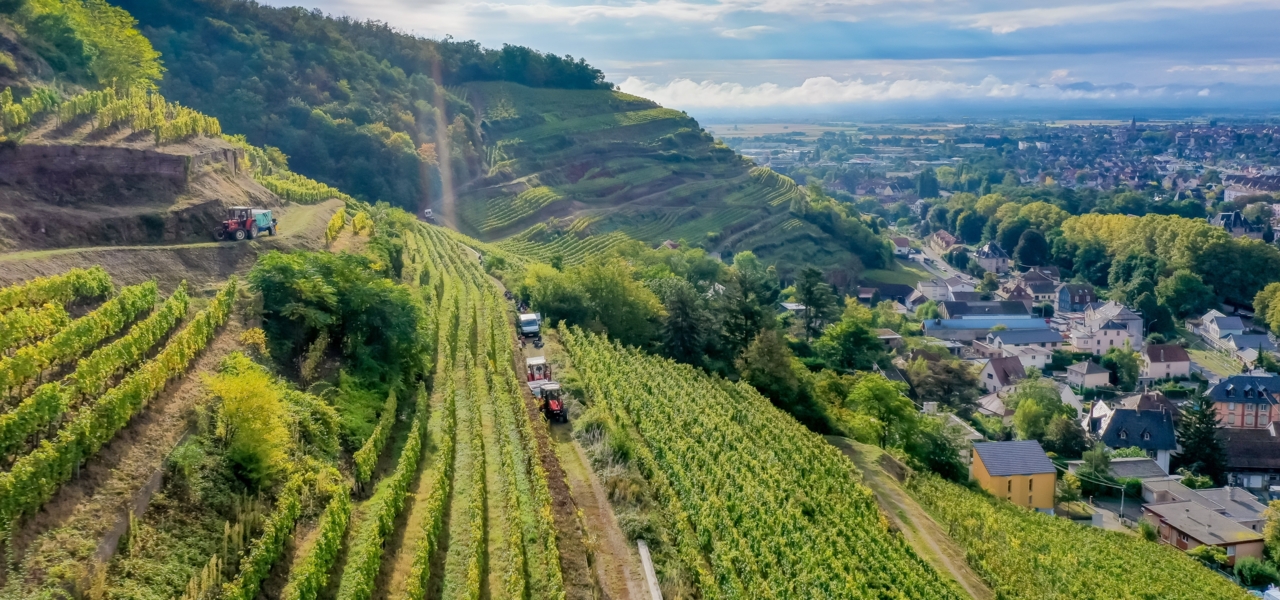 Domaines Schlumberger